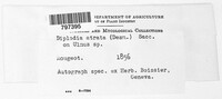 Image Associated With the Occurence